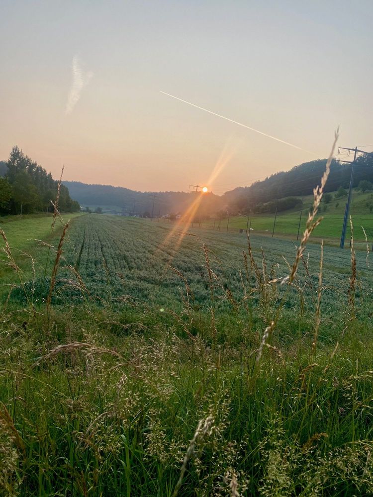Foto_3.jpg